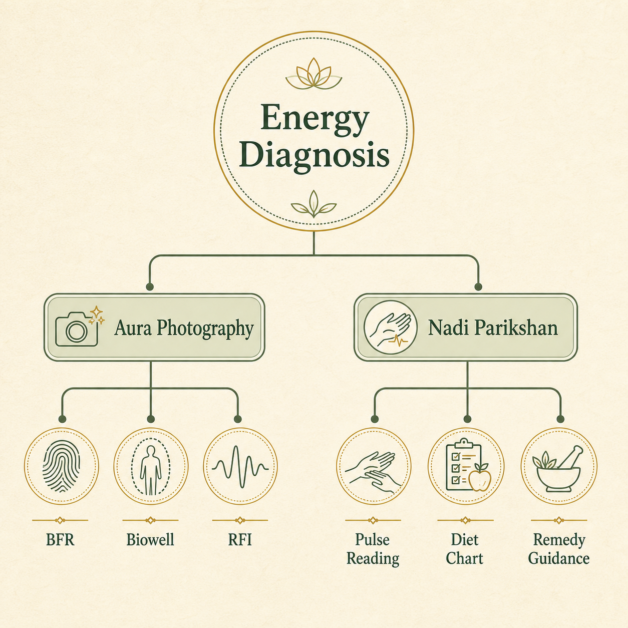 Energy diagnosis pathway — BFR, Biowell, RFI and Nadi Parikshan overview